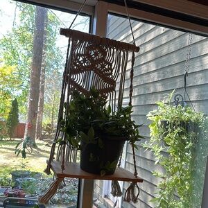 Macrame Plant Hanger